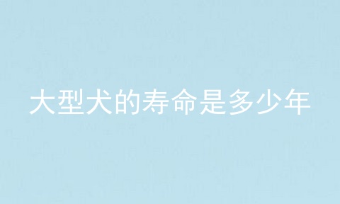 大型犬的寿命是多少年