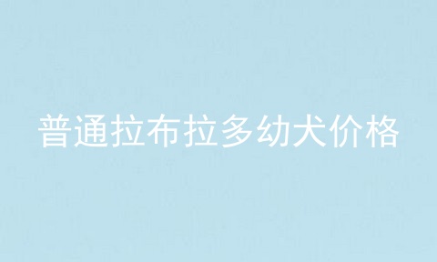 普通拉布拉多幼犬价格