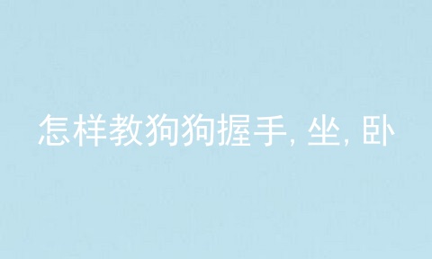 怎样教狗狗握手,坐,卧