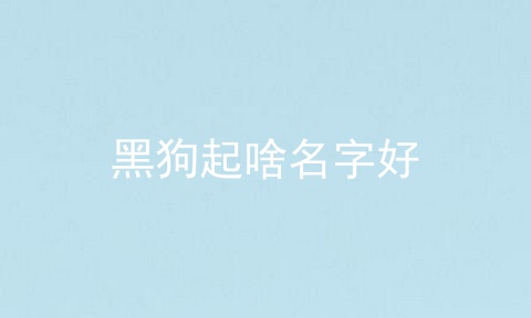 黑狗起啥名字好