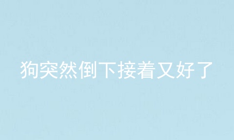 狗突然倒下接着又好了