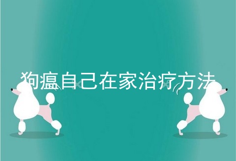 狗瘟自己在家治疗方法