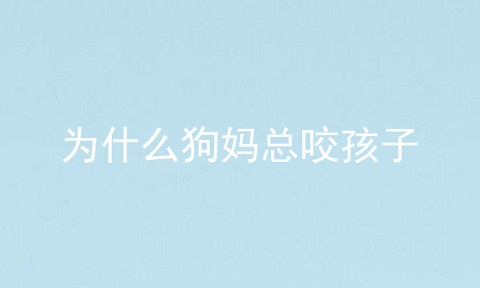 为什么狗妈总咬孩子