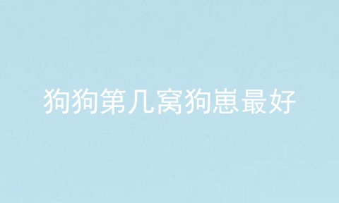 狗狗第几窝狗崽最好