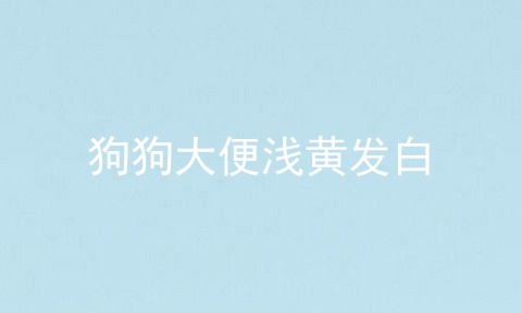 狗狗大便浅黄发白
