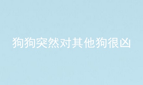 狗狗突然对其他狗很凶