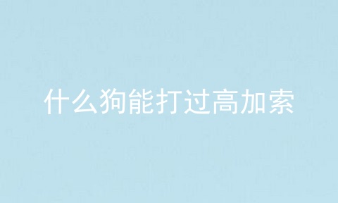 什么狗能打过高加索