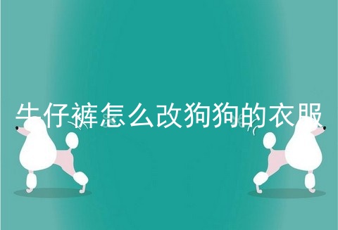 牛仔裤怎么改狗狗的衣服
