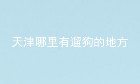天津哪里有遛狗的地方