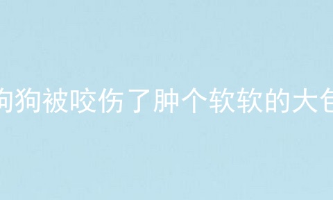 狗狗被咬伤了肿个软软的大包
