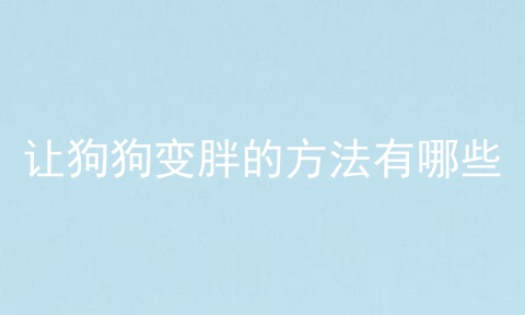 让狗狗变胖的方法有哪些