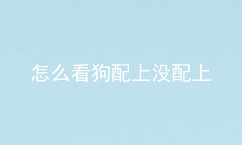 怎么看狗配上没配上