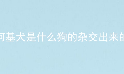 柯基犬是什么狗的杂交出来的