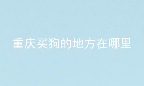 重庆买狗的地方在哪里