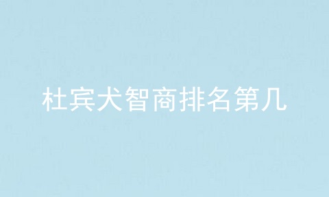 杜宾犬智商排名第几