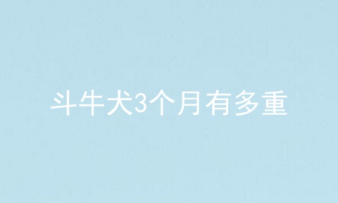 斗牛犬3个月有多重