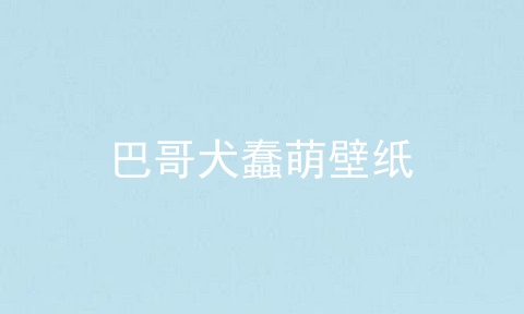 巴哥犬蠢萌壁纸