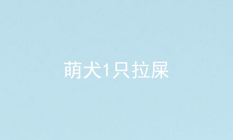 萌犬1只拉屎