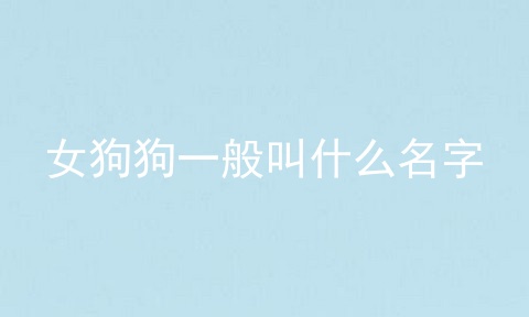 女狗狗一般叫什么名字