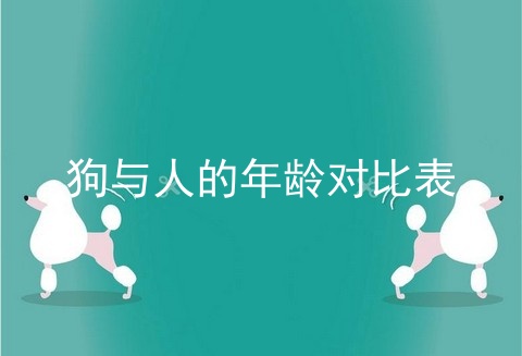 狗与人的年龄对比表