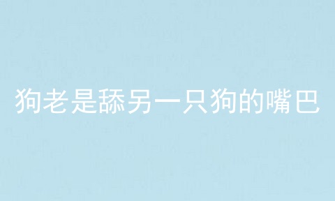 狗老是舔另一只狗的嘴巴