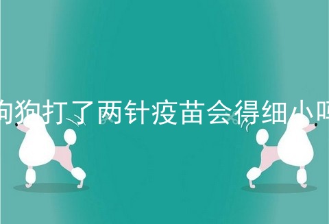 狗狗打了两针疫苗会得细小吗