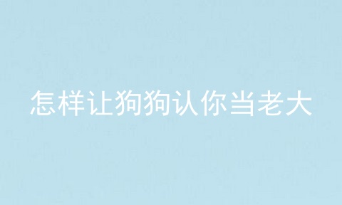 怎样让狗狗认你当老大