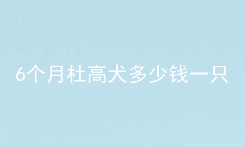 6个月杜高犬多少钱一只