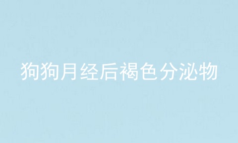 狗狗月经后褐色分泌物