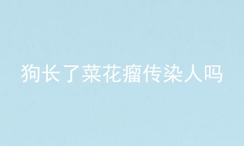 狗长了菜花瘤传染人吗