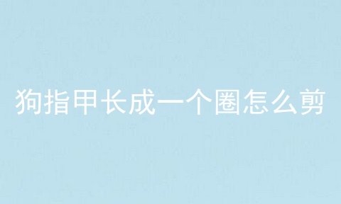 狗指甲长成一个圈怎么剪