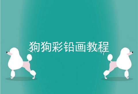 狗狗彩铅画教程
