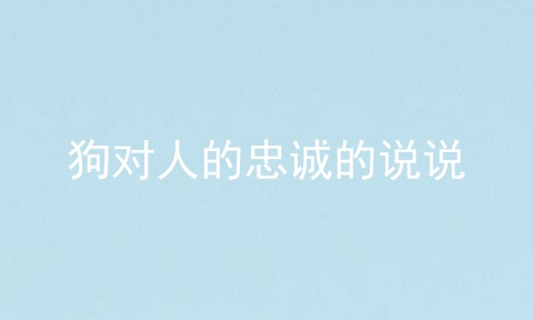 狗对人的忠诚的说说