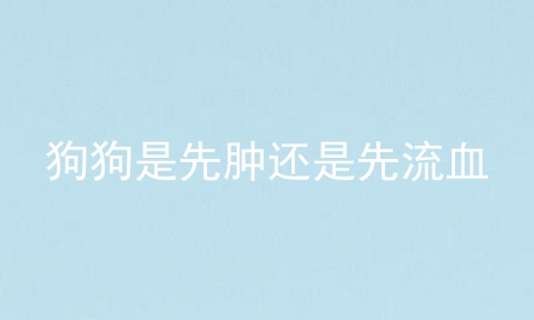 狗狗是先肿还是先流血