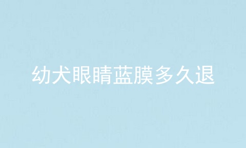 幼犬眼睛蓝膜多久退