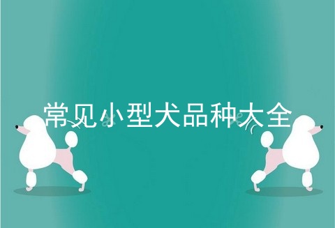 常见小型犬品种大全
