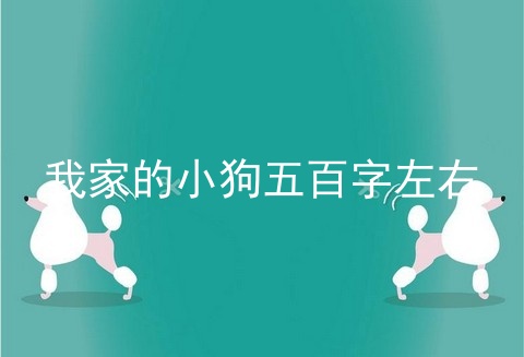 我家的小狗五百字左右