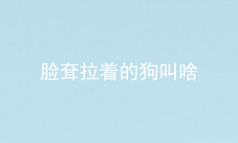 脸耷拉着的狗叫啥