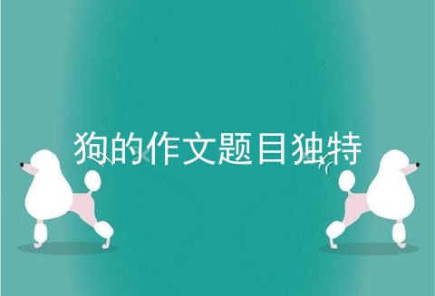 狗的作文题目独特