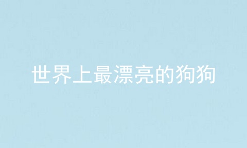世界上最漂亮的狗狗