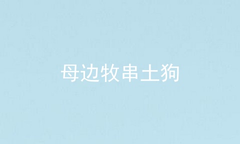 母边牧串土狗