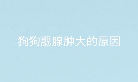狗狗腮腺肿大的原因