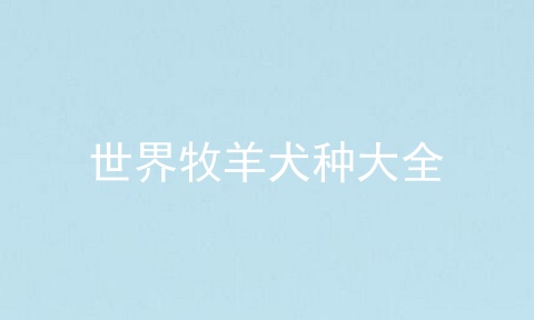 世界牧羊犬种大全