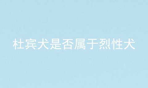 杜宾犬是否属于烈性犬