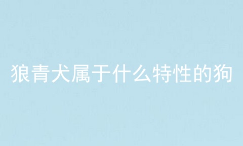 狼青犬属于什么特性的狗