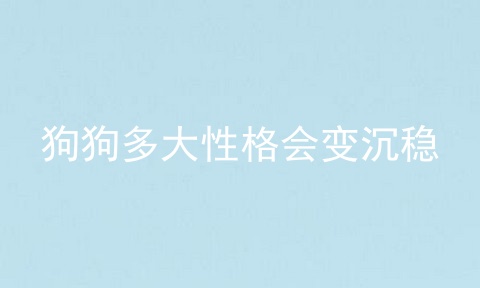 狗狗多大性格会变沉稳