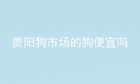 贵阳狗市场的狗便宜吗