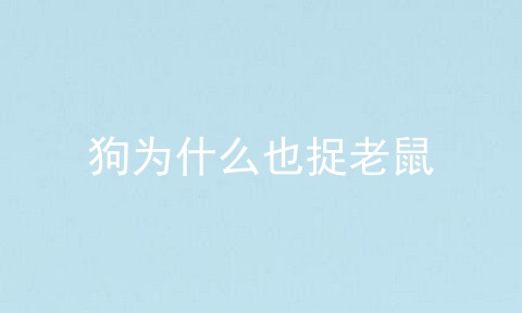 狗为什么也捉老鼠