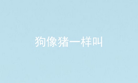 狗像猪一样叫