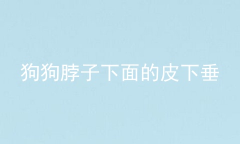 狗狗脖子下面的皮下垂